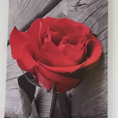 Apartment Rosa Di Ortigia Syrakus