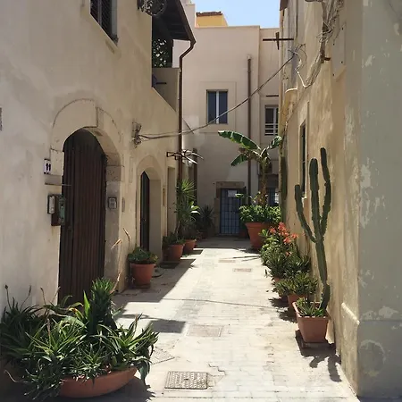 Rosa Di Ortigia
